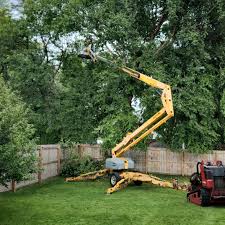 Best Arborist Consultation Services  in Duvall, WA